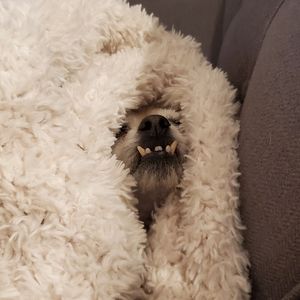 Meet your Posher, Liana